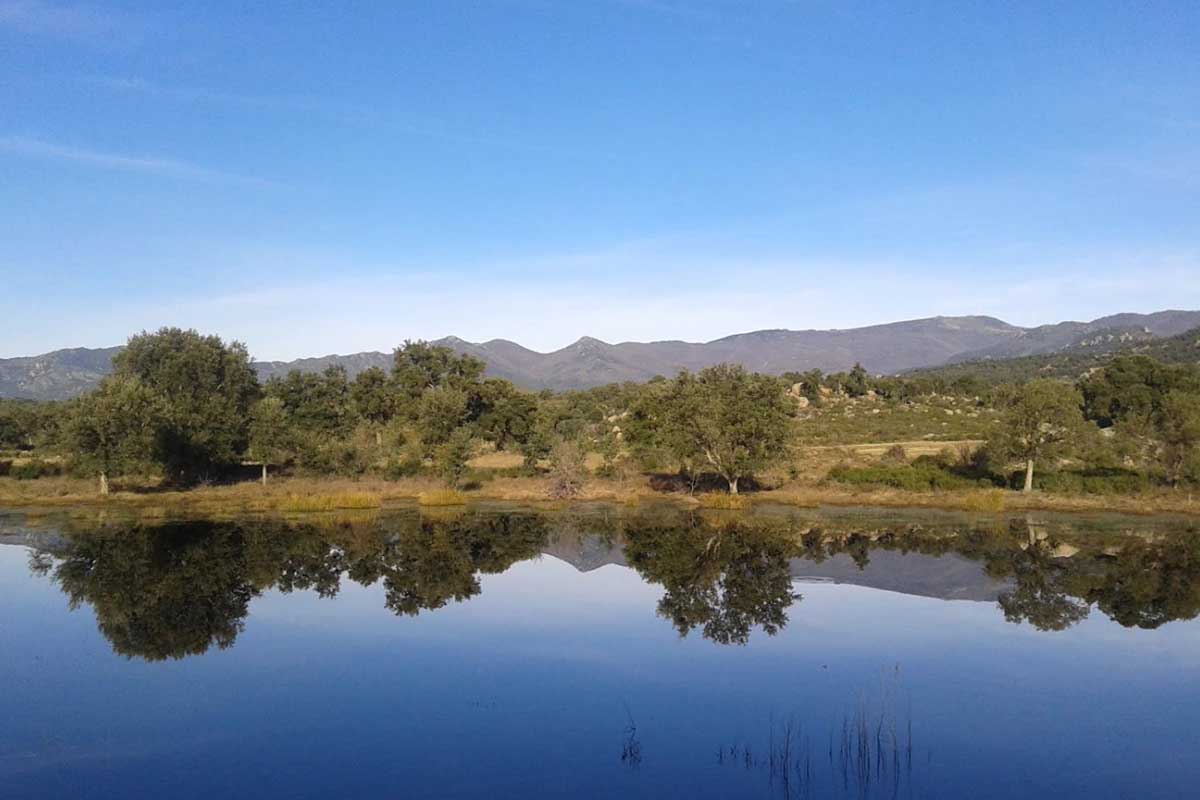 albera-basses-estanys-acn