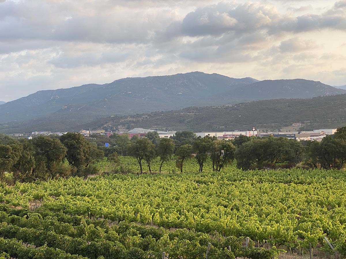 vinyes-agullana-lestrada-la-jonquera-2