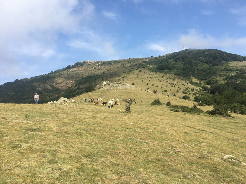 un-juliol-calid-i-sec